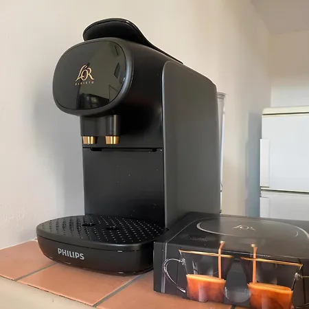 Terrasse Centre, דירה מנטון